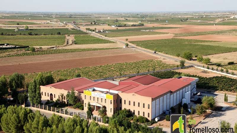 Bodegas Allozo Centro Españolas