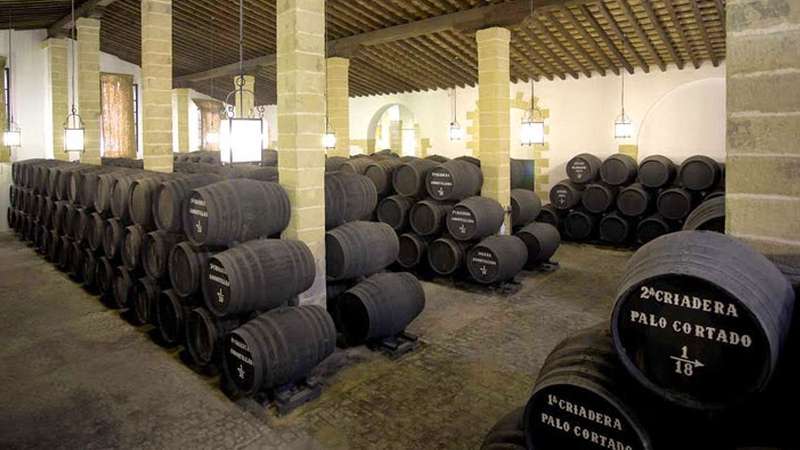 Bodegas Tradicion